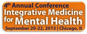 17-immhconf2013